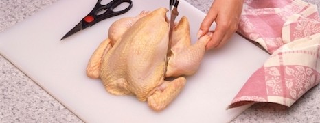 Salmonelóza